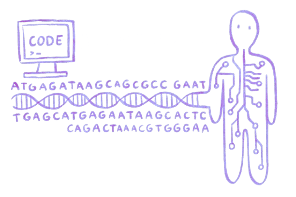 Bioinformatics sketch